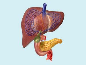 Laparoscopic HPB Surgery  KNOW MORE